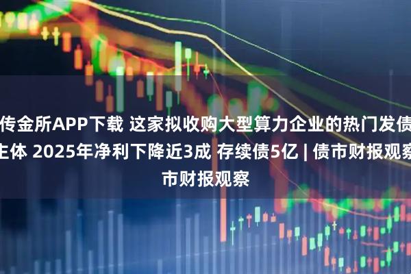 传金所APP下载 这家拟收购大型算力企业的热门发债主体 2025年净利下降近3成 存续债5亿 | 债市财报观察